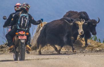 Motocykle Bhutan 2014
