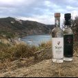 Tsipouro, grecki mocny alkohol – degustacja