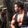 „Predator” – wszystkie filmy z uniwersum w kolejności do najlepszego