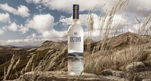 Ostoya Vodka – degustacja. Test. Opinie.