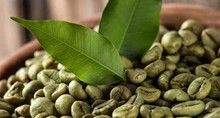 Zielona kawa - panaceum na dobrą formę
