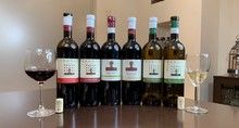 Gruzińskie wina z winnicy Marani – degustacja, test, opinie