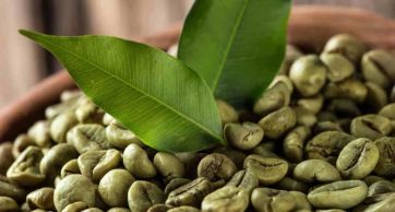 Zielona kawa - panaceum na dobrą formę