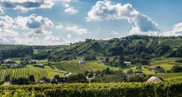 Burgenland – mały austriacki raj 