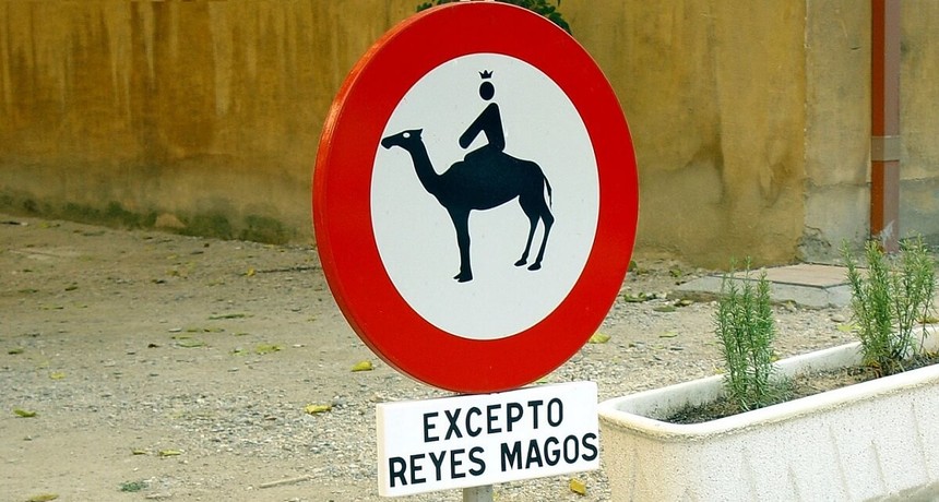 Zakaz jazdy na wielbłądzie