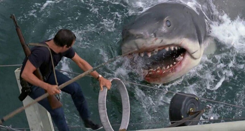 6 najlepszych filmów o rekinach