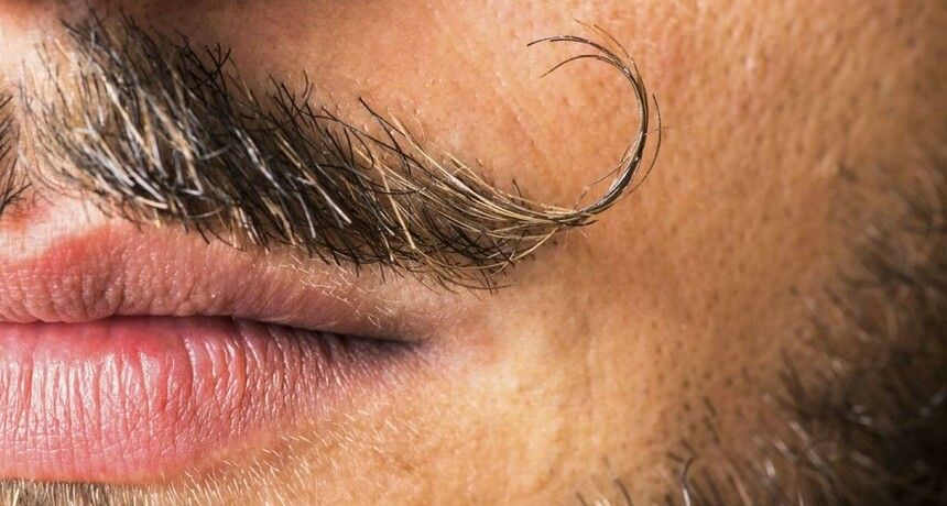 profilaktyka zdrowia mężczyzny movember wąsopad