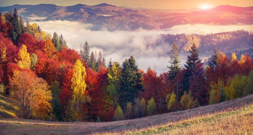 Góry jesienią