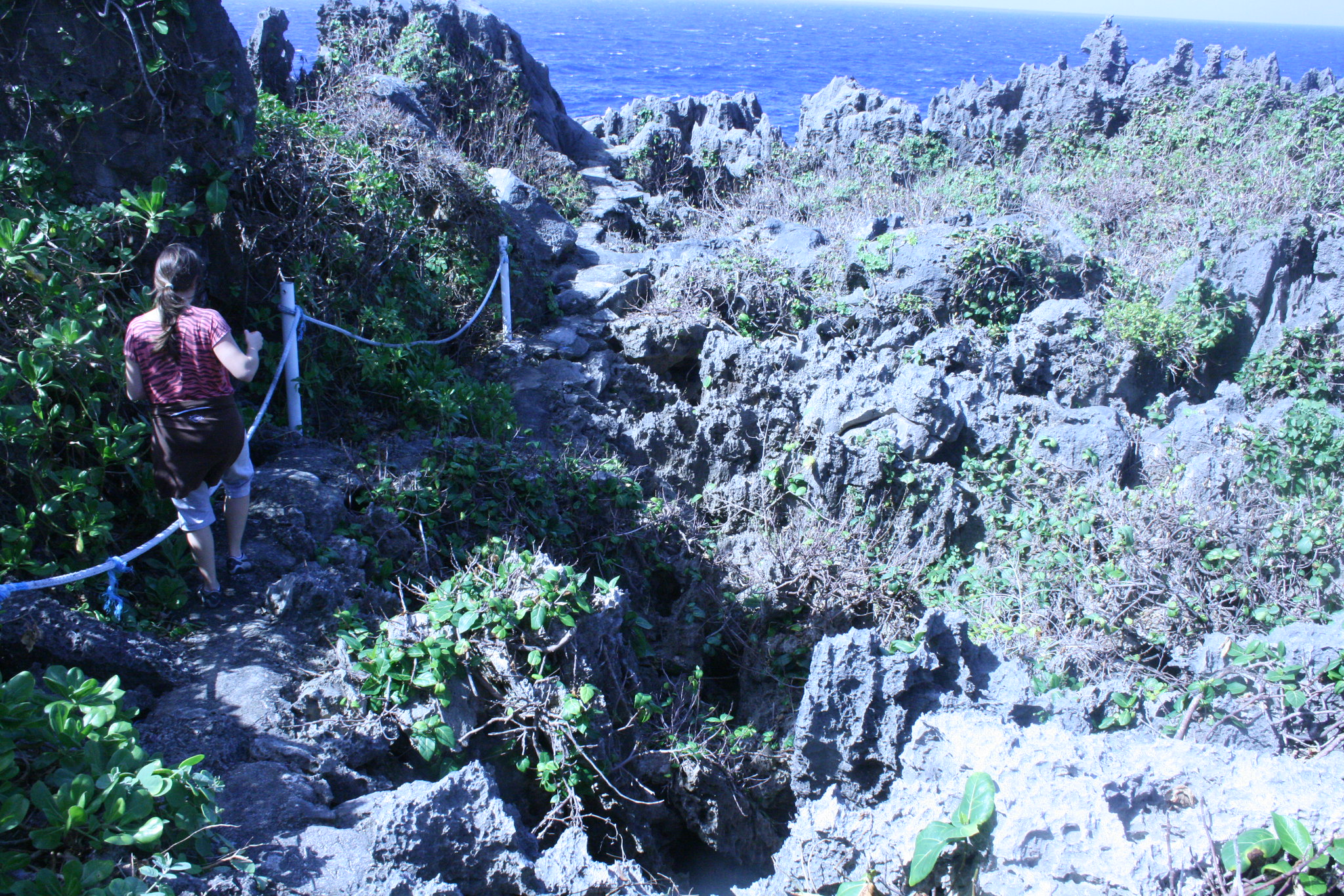 Skały koralowe tworzą sporą część krajobrazu na Niue