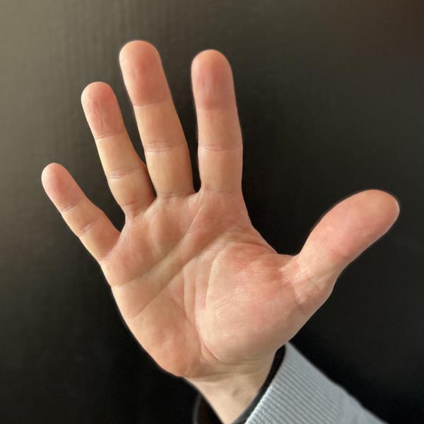 znaczenie gestu rozłożona dłoń