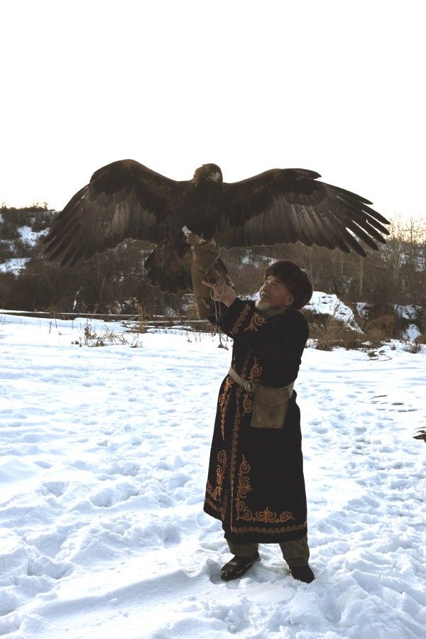 Sokolnik z orłem Kazachstan